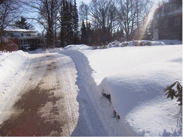 3 MichaelFriedrichGartenbau Winterdienst.jpg