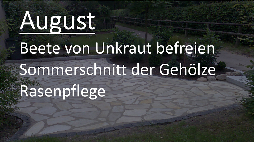August