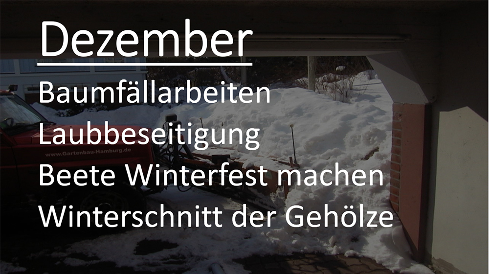 Dezember