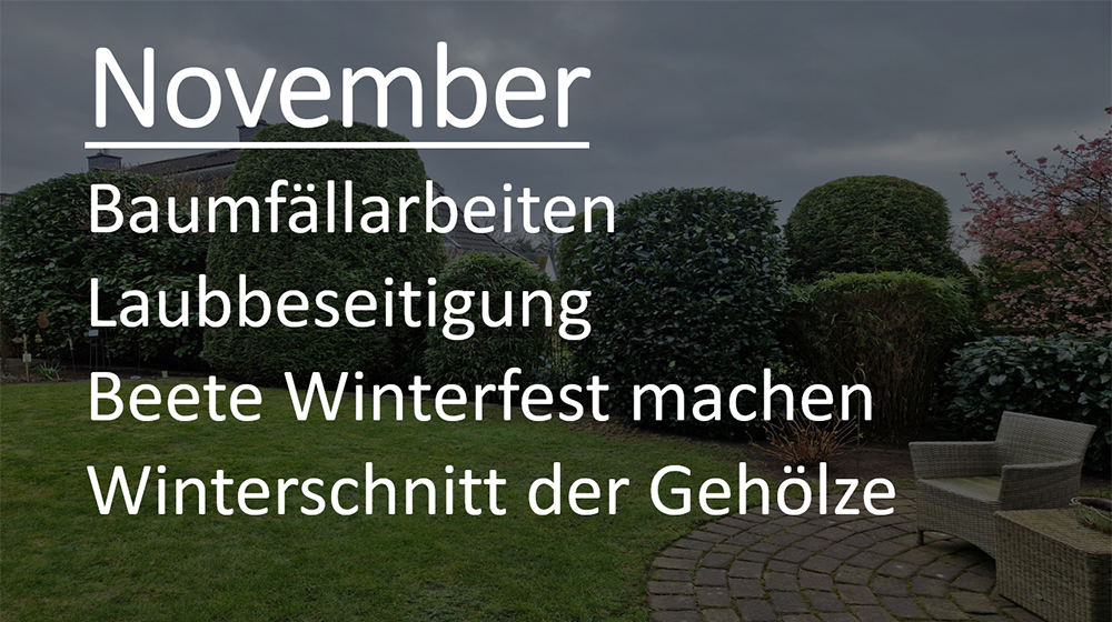 November