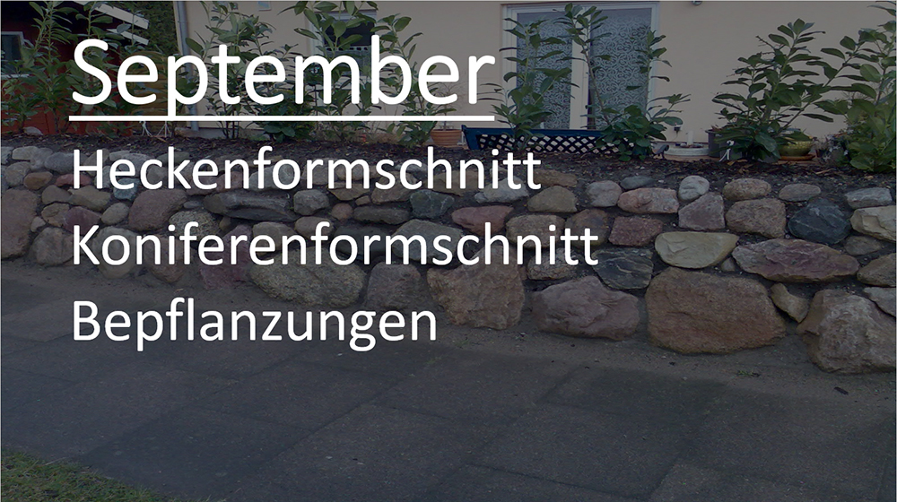 September